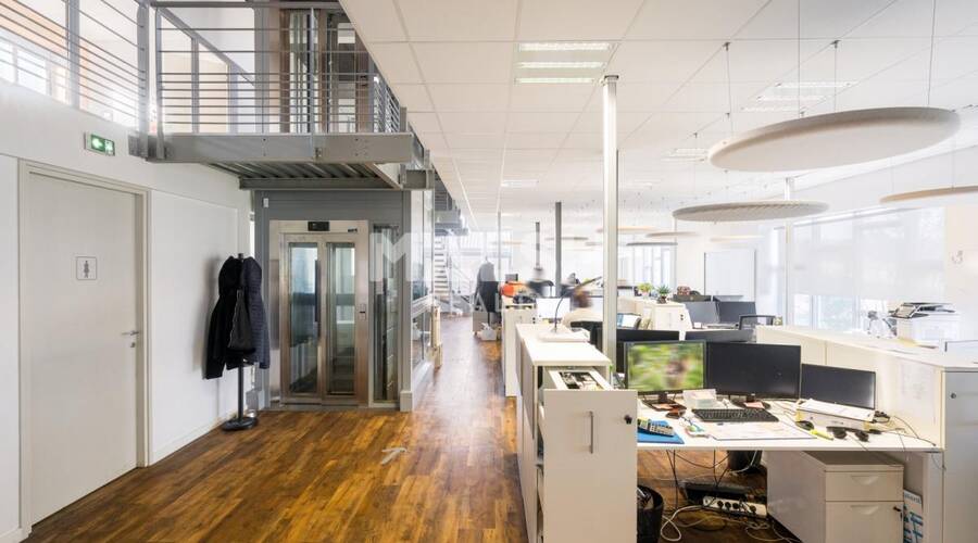 MALSH Realty & Property - Local d'activités - Extérieurs NORD (Villefranche / Belleville) - Saint-André-de-Corcy - 5