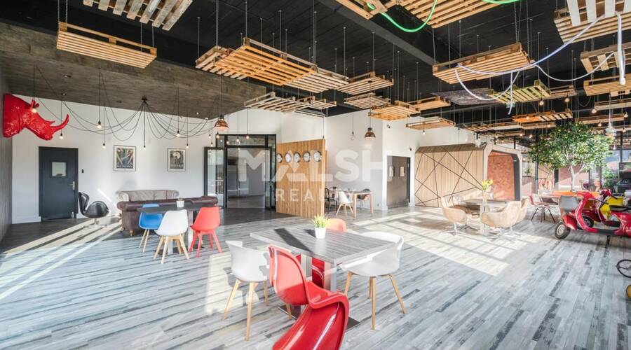 MALSH Realty & Property - Local d'activités - Extérieurs NORD (Villefranche / Belleville) - Saint-André-de-Corcy - 27