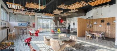 MALSH Realty & Property - Local d'activités - Extérieurs NORD (Villefranche / Belleville) - Saint-André-de-Corcy - 28