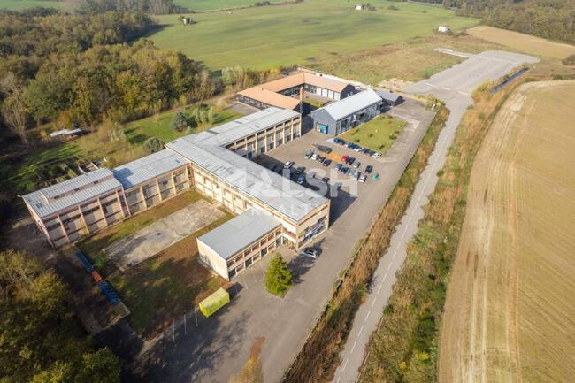 MALSH Realty & Property - Local d'activités - Extérieurs NORD (Villefranche / Belleville) - Saint-André-de-Corcy - 1