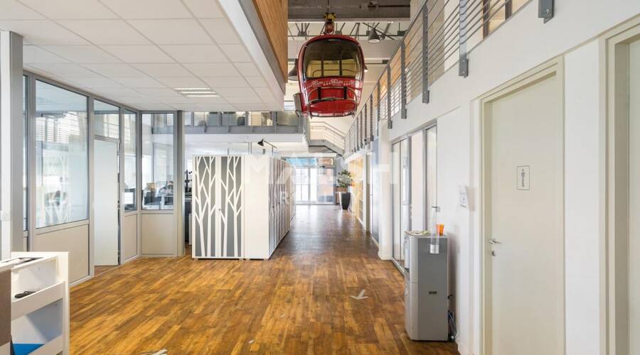 MALSH Realty & Property - Local d'activités - Extérieurs NORD (Villefranche / Belleville) - Saint-André-de-Corcy - 6