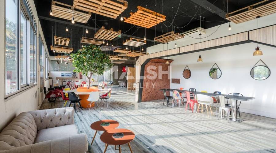 MALSH Realty & Property - Local d'activités - Extérieurs NORD (Villefranche / Belleville) - Saint-André-de-Corcy - 25