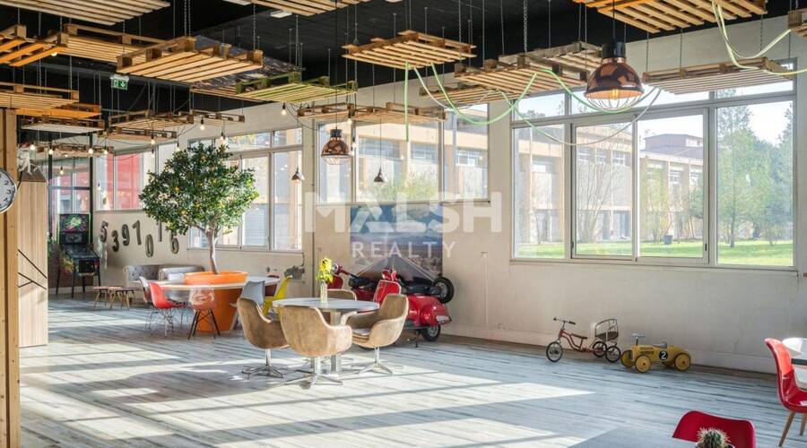 MALSH Realty & Property - Local d'activités - Extérieurs NORD (Villefranche / Belleville) - Saint-André-de-Corcy - 29