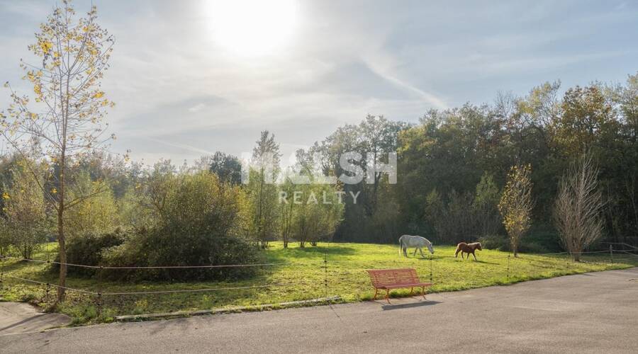 MALSH Realty & Property - Local d'activités - Extérieurs NORD (Villefranche / Belleville) - Saint-André-de-Corcy - 36