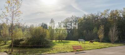 MALSH Realty & Property - Local d'activités - Extérieurs NORD (Villefranche / Belleville) - Saint-André-de-Corcy - 36