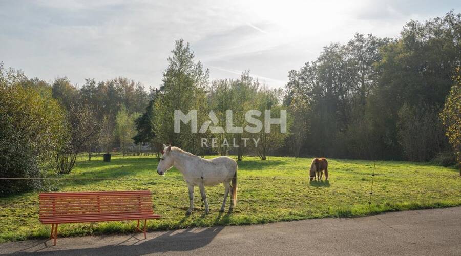 MALSH Realty & Property - Local d'activités - Extérieurs NORD (Villefranche / Belleville) - Saint-André-de-Corcy - 37