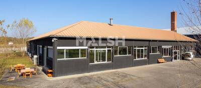 MALSH Realty & Property - Local d'activités - Extérieurs NORD (Villefranche / Belleville) - Saint-André-de-Corcy - 40
