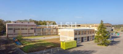 MALSH Realty & Property - Local d'activités - Extérieurs NORD (Villefranche / Belleville) - Saint-André-de-Corcy - 59