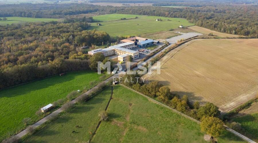 MALSH Realty & Property - Local d'activités - Extérieurs NORD (Villefranche / Belleville) - Saint-André-de-Corcy - 67