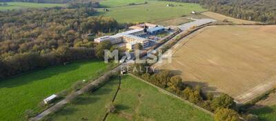 MALSH Realty & Property - Local d'activités - Extérieurs NORD (Villefranche / Belleville) - Saint-André-de-Corcy - 67