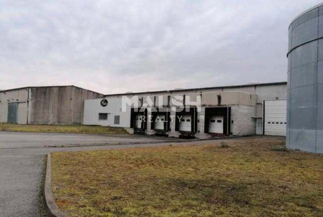 MALSH Realty & Property - Local d'activités - Lyon Nord Est (Rhône Amont) - Meyzieu - 1
