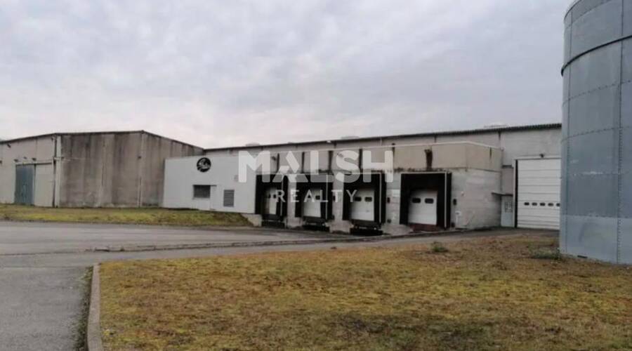 MALSH Realty & Property - Local d'activités - Lyon Nord Est (Rhône Amont) - Meyzieu - 1