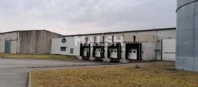 MALSH Realty & Property - Local d'activités - Lyon Nord Est (Rhône Amont) - Meyzieu - 1