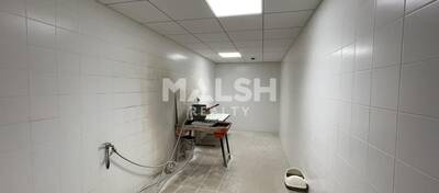 MALSH Realty & Property - Local d'activités - Extérieurs NORD (Villefranche / Belleville) - Alix - 9