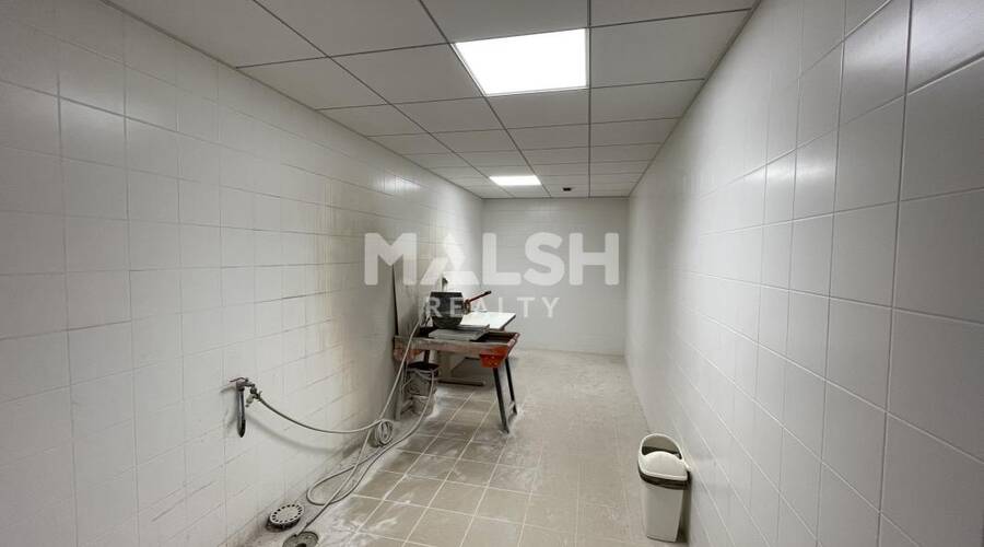 MALSH Realty & Property - Local d'activités - Extérieurs NORD (Villefranche / Belleville) - Alix - 9