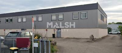 MALSH Realty & Property - Local d'activités - Carré de Soie / Grand Clément / Bel Air - Vaulx-en-Velin - 2