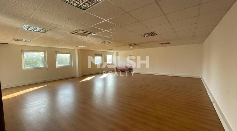 MALSH Realty & Property - Local d'activités - Carré de Soie / Grand Clément / Bel Air - Vaulx-en-Velin - 6