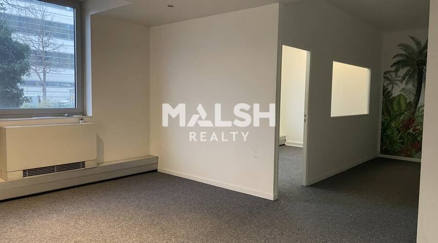 MALSH Realty & Property - Bureau - Carré de Soie / Grandclément / Bel Air - Villeurbanne - 1