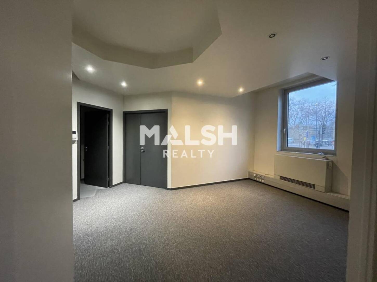 MALSH Realty & Property - Bureau - Carré de Soie / Grandclément / Bel Air - Villeurbanne - 2