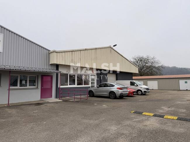MALSH Realty & Property - Local d'activités - Côtière (Ain/A42/Beynost/Dagneux/Montluel) - Druillat - 1
