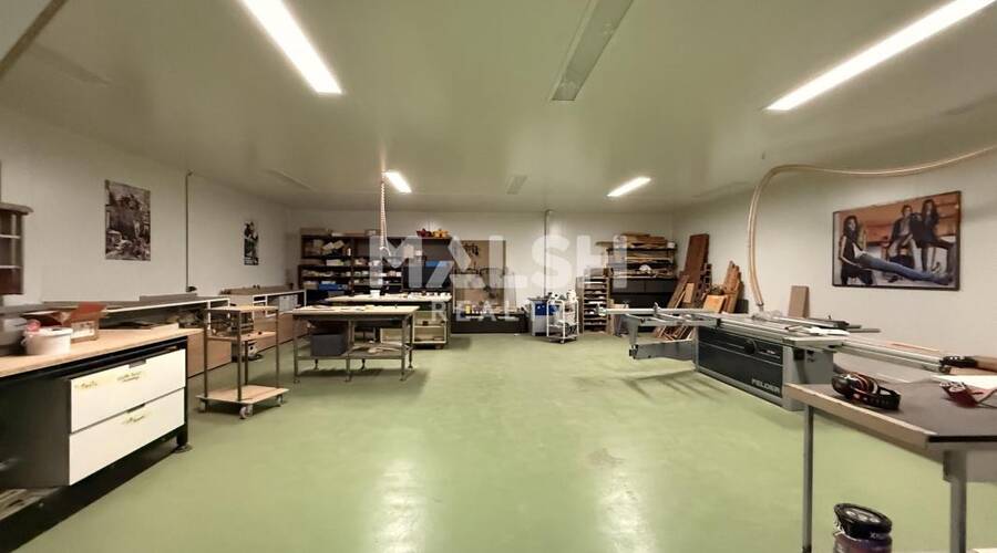 MALSH Realty & Property - Local d'activités - Côtière (Ain/A42/Beynost/Dagneux/Montluel) - Druillat - 6