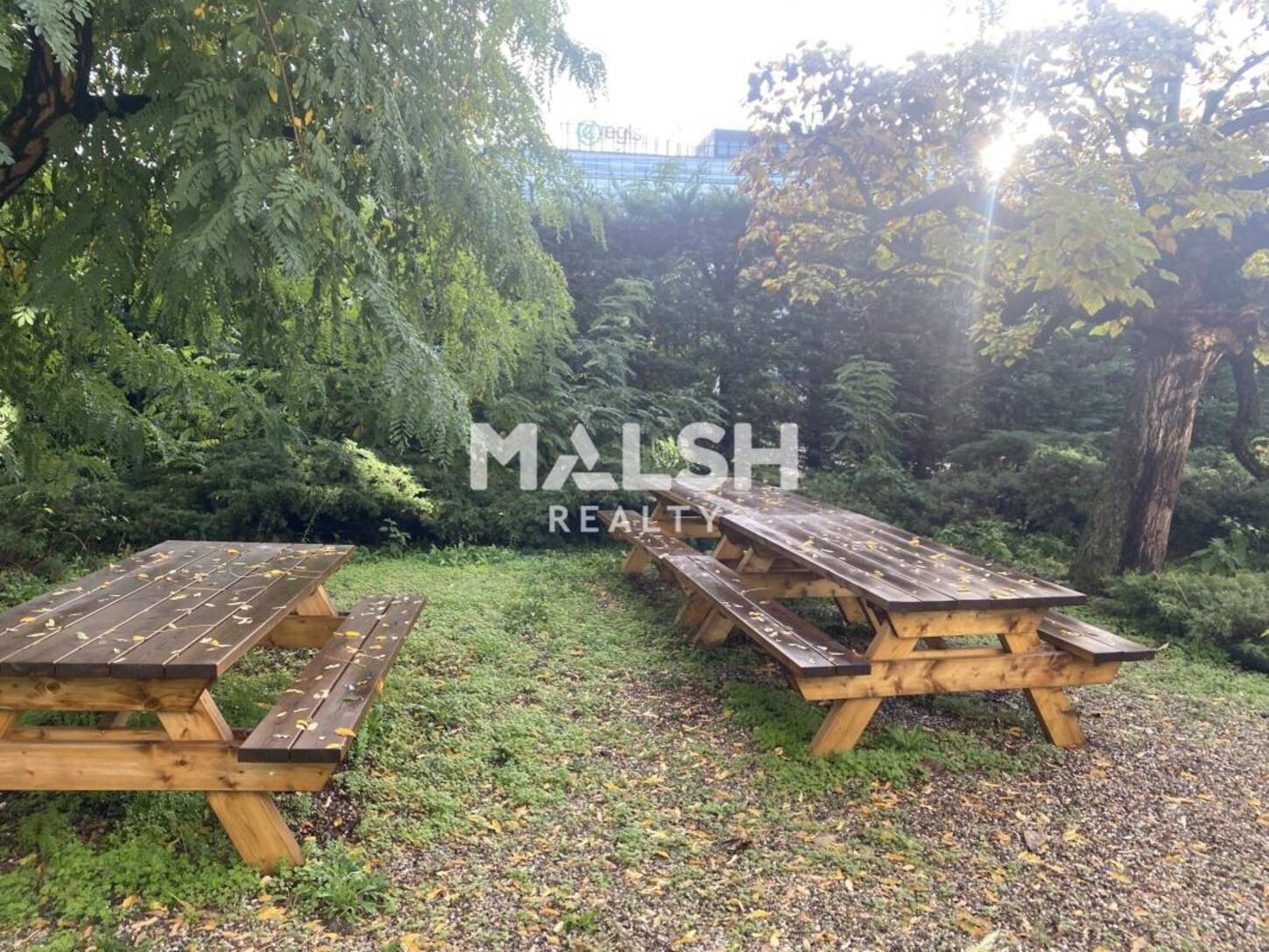 MALSH Realty & Property - Bureau - Lyon 6° - Lyon 6 - 2