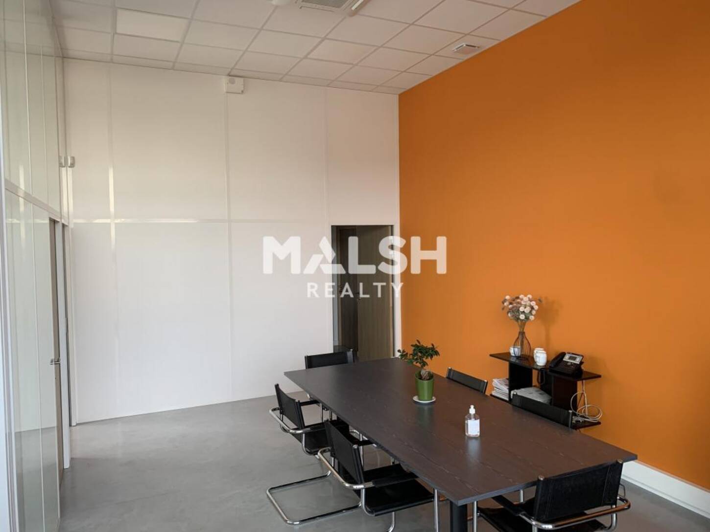 MALSH Realty & Property - Bureau - Côtière (Ain/A42/Beynost/Dagneux/Montluel) - Beynost - 2