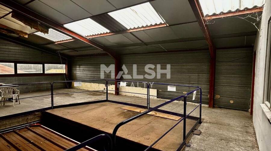 MALSH Realty & Property - Local d'activités - Extérieurs NORD (Villefranche / Belleville) - Trévoux - 4