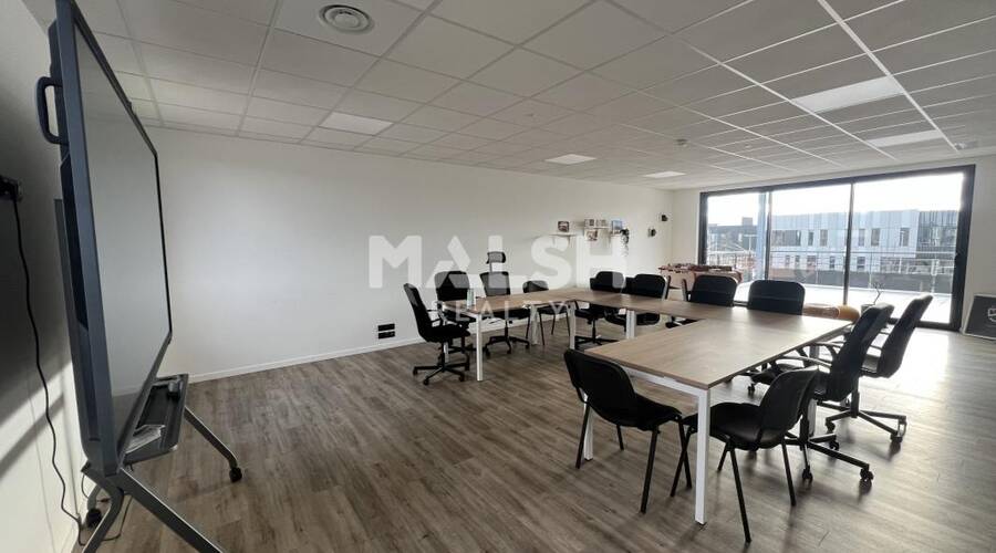 MALSH Realty & Property - Local d'activités - Lyon EST (St Priest /Mi Plaine/ A43 / Eurexpo) - Saint-Priest - 17