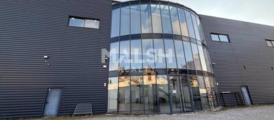 MALSH Realty & Property - Local d'activités - Carré de Soie / Grand Clément / Bel Air - Villeurbanne - 16