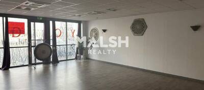 MALSH Realty & Property - Bureau - Extérieurs NORD (Villefranche / Belleville) - Villefranche-sur-Saône - 5