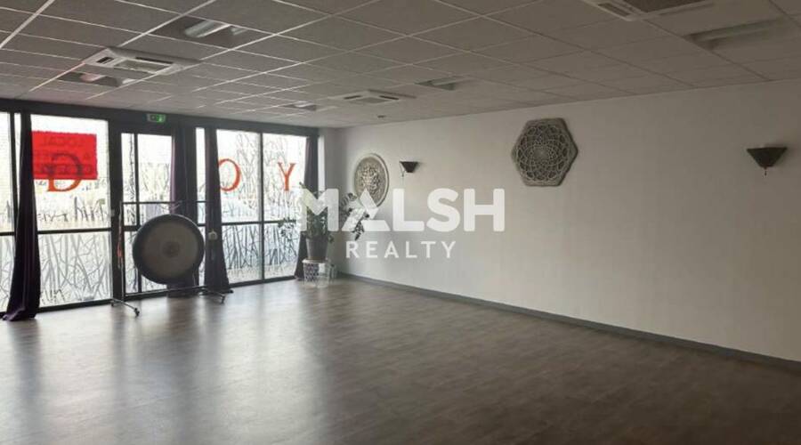MALSH Realty & Property - Bureau - Extérieurs NORD (Villefranche / Belleville) - Villefranche-sur-Saône - 5