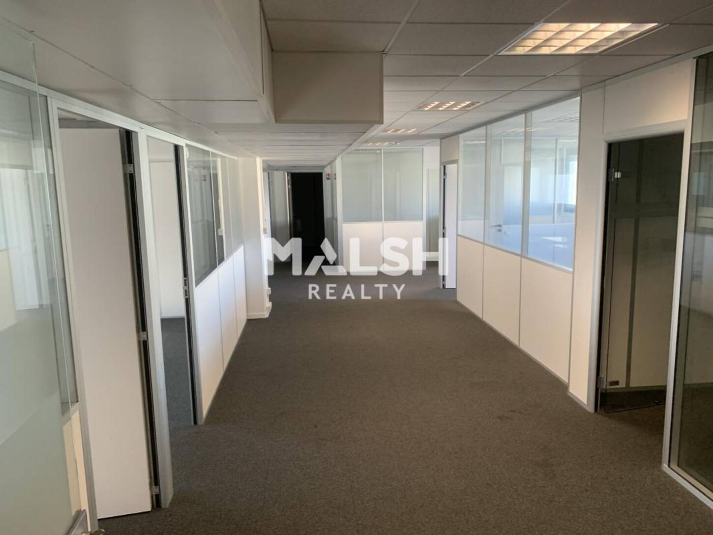 MALSH Realty & Property - Bureau - Lyon 6° - Lyon 6 - 2