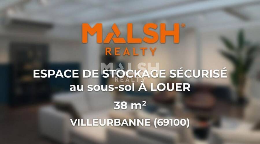 MALSH Realty & Property - Local d'activités - Carré de Soie / Grand Clément / Bel Air - Villeurbanne - 1