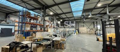 MALSH Realty & Property - Local d'activités - Saint Etienne - Saint-Cyprien - 1