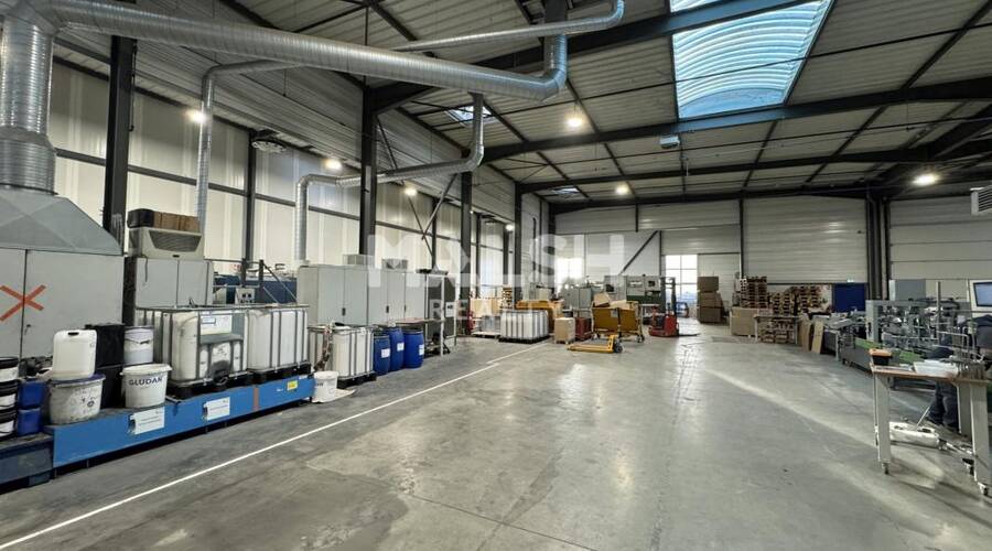 MALSH Realty & Property - Local d'activités - Saint Etienne - Saint-Cyprien - 5