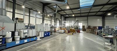 MALSH Realty & Property - Local d'activités - Saint Etienne - Saint-Cyprien - 5