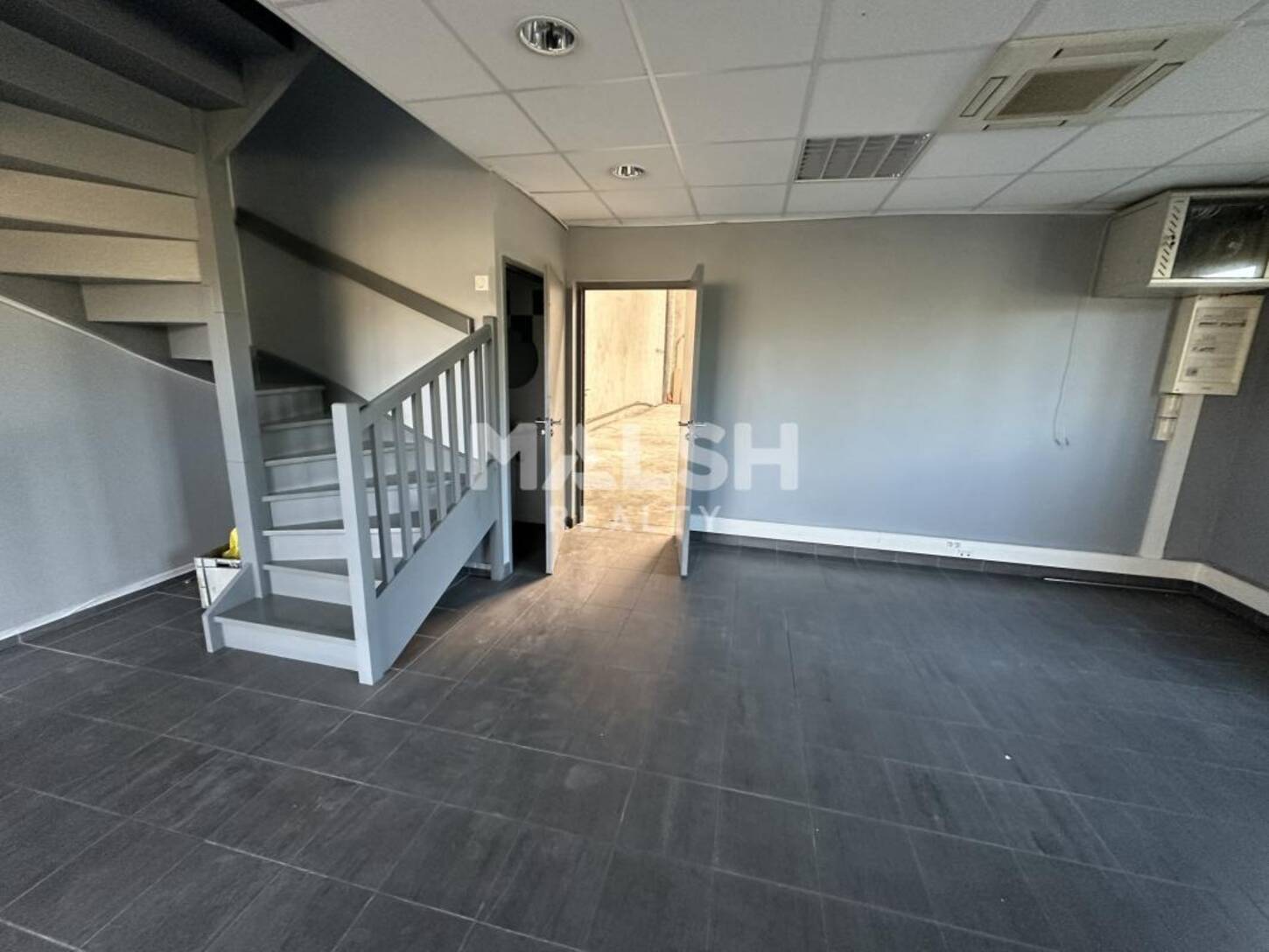 MALSH Realty & Property - Local d'activités - Nord Isère ( Ile d'Abeau / St Quentin Falavier ) - Frontonas - 2