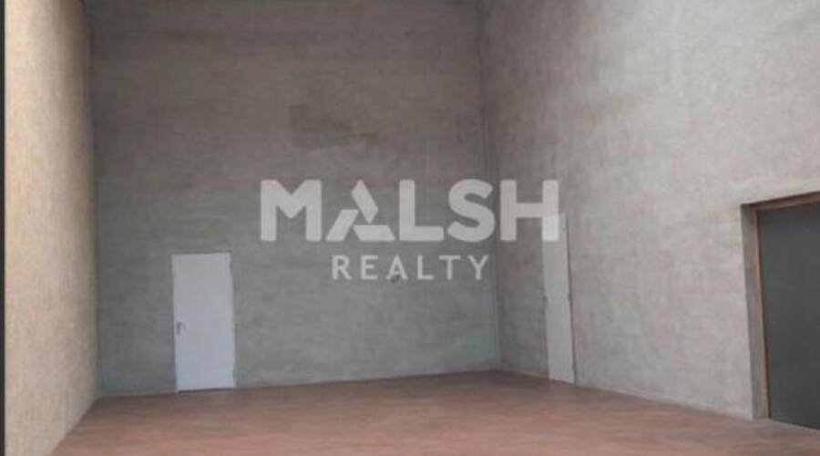 MALSH Realty & Property - Local d'activités - Nord Isère ( Ile d'Abeau / St Quentin Falavier ) - Frontonas - 2