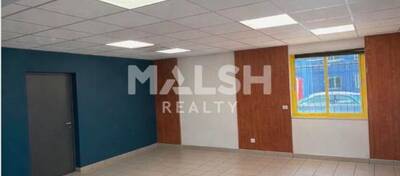 MALSH Realty & Property - Local d'activités - Nord Isère ( Ile d'Abeau / St Quentin Falavier ) - Frontonas - 4