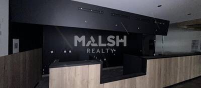 MALSH Realty & Property - Local commercial - Carré de Soie / Grand Clément / Bel Air - Villeurbanne - 3