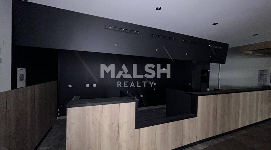 MALSH Realty & Property - Local commercial - Carré de Soie / Grand Clément / Bel Air - Villeurbanne - 3