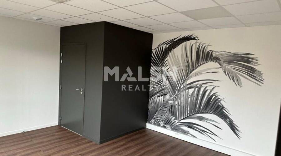 MALSH Realty & Property - Local d'activités - Nord Isère ( Ile d'Abeau / St Quentin Falavier ) - Bourgoin-Jallieu - 9