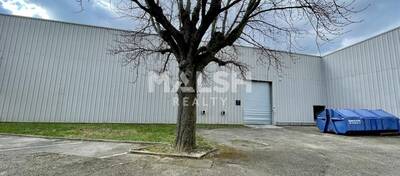 MALSH Realty & Property - Local d'activités - Lyon Sud Ouest - Irigny - 3
