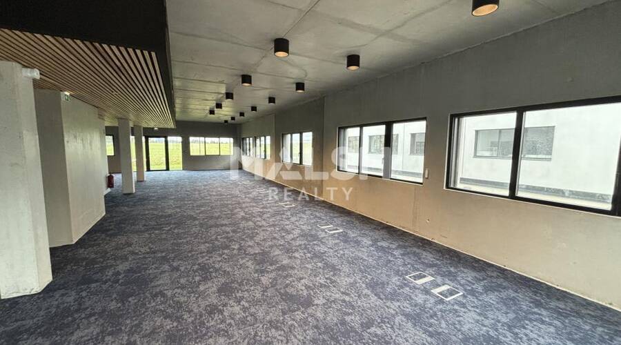 MALSH Realty & Property - Local d'activités - Plateau Nord / Val de Saône - Rillieux-la-Pape - 3