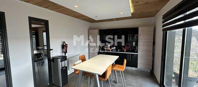 MALSH Realty & Property - Local d'activités - Extérieurs SUD  (Vallée du Rhône) - Chasse-sur-Rhône - 5