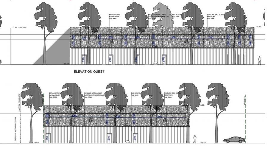 MALSH Realty & Property - Local d'activités - Extérieurs NORD (Villefranche / Belleville) - Guéreins - 6