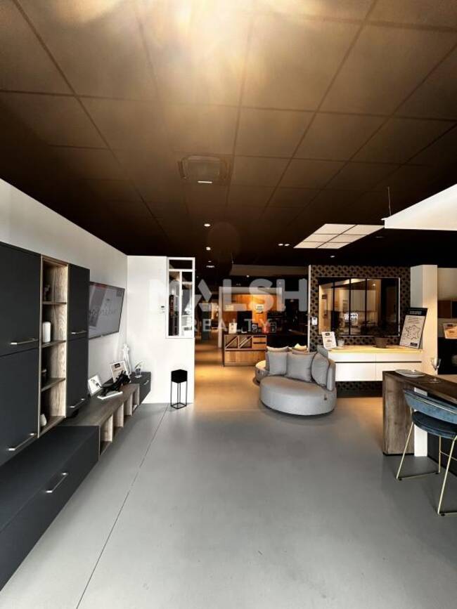 MALSH Realty & Property - Local commercial - Extérieurs NORD (Villefranche / Belleville) - Anse - 1