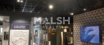 MALSH Realty & Property - Local commercial - Extérieurs NORD (Villefranche / Belleville) - Anse - 2