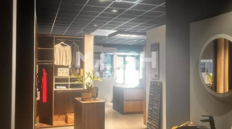 MALSH Realty & Property - Local commercial - Extérieurs NORD (Villefranche / Belleville) - Anse - 4